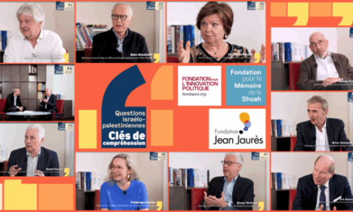 visuel-video-fms-mosaique-575x323